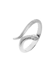 Серебряное кольцо - змея